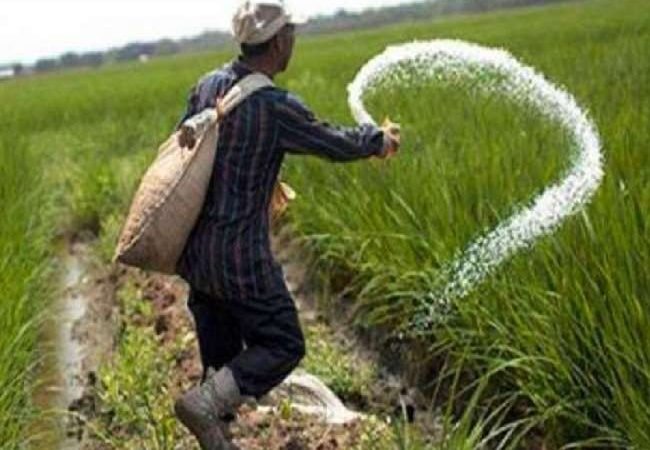 नियमानुसार उर्वरक विक्रय नहीं करने वाले विक्रेताओं के विरूद्ध होगी विधिक कार्यवाही