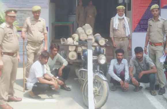 पुलिस ने पोपुलर की लकड़ी ले जाते चार आरोपी किए गिरफ्तार