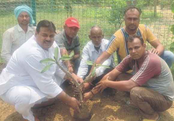 रालोद कार्यकर्ताओं ने किया पौधारोपण