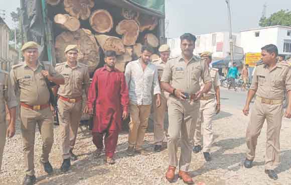 पुलिस ने की लाखों रूपए की प्रतिबंधित लकड़ी बरामद, आरोपी गिरफ्तार