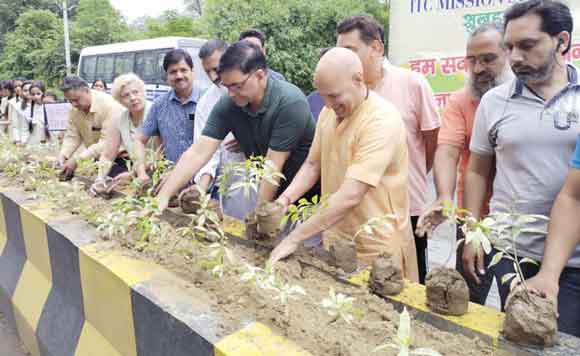 धरती का ताप कम करने के लिए पौधारोपण जरुरी: नगरायुक्त