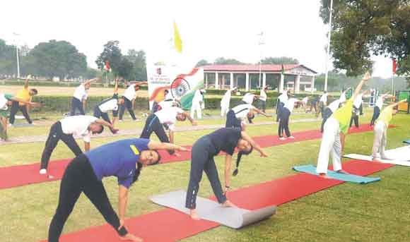 एनसीसी की तीनों बटालियन ने योगाभ्यास शिविर में किया प्रतिभाग