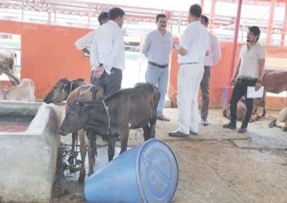 अपर निदेशक ने भी गौशाला के उत्पादों को सराहा