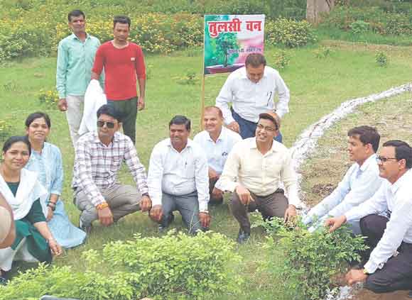 मण्डलायुक्त ने किया तितली पार्क परिसर में तुलसी वन का रोपण