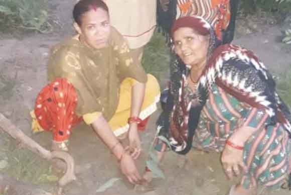 पर्यावरण संतुलन बनाए रखना सभी की जिम्मेदारी: सैनी