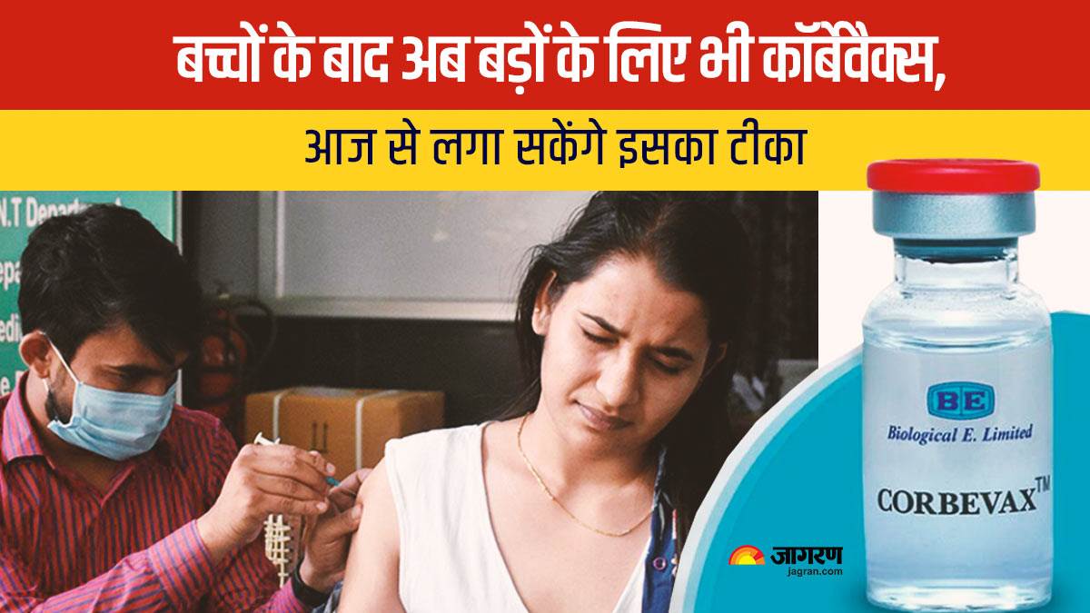 Corbevax Vaccine ने मार्केट में दी दस्तक, आज से लगा सकेंगे इसका टीका, कोरोना से लड़़ने में है कारगर