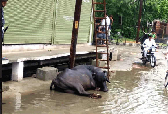विद्युत विभाग की लापरवाही