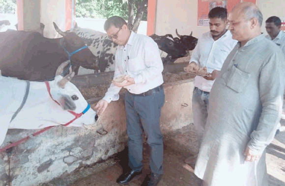 एसडीएम ने किया गौशाला का निरीक्षण