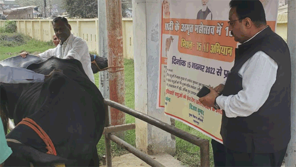 पशु प्रजनन को बढाने के दृष्टिगत मिशन 75 ए0आई0 के अन्तर्गत जनपद में कृत्रिम गर्भाधान का हुआ शुभारम्भ