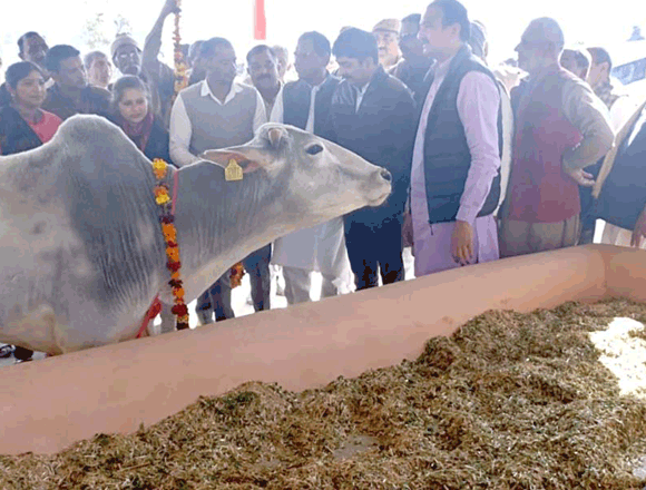 विधायक व डीएम ने किया ग्राम नवादा भजडू में गोआश्रय स्थल का लोकार्पण