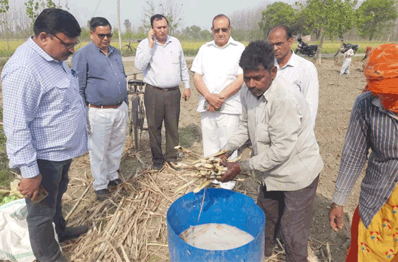 बीज शोधित उपचार कर प्रगतिशील किसान ने की गन्ने की बुआई