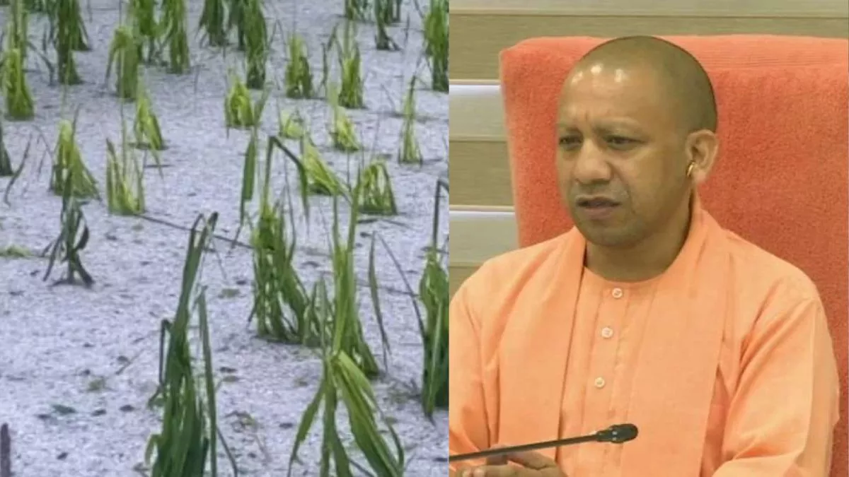 बेमौसम बारिश से किसानों को भारी नुकसान, सीएम योगी ने दिया तत्काल राहत देने का निर्देश