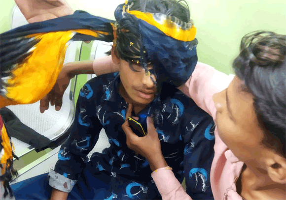 नशे में धुत युवकों ने एक युवक को लोहे की राॅड से हमला कर किया घायल