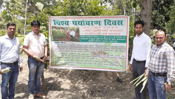 नेपियर घास के उत्पादन में जिलाधिकारी की पहल लाई रंग