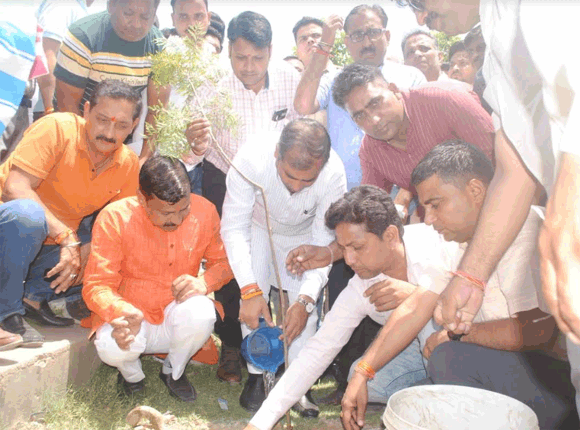 विश्व पर्यावरण दिवस पर नगर एवं देहात क्षेत्र में पौधारोपण कर मनाया गया।