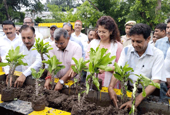 पर्यावरण संतुलन के लिए वृक्षों को बचाना होगा: मेयर