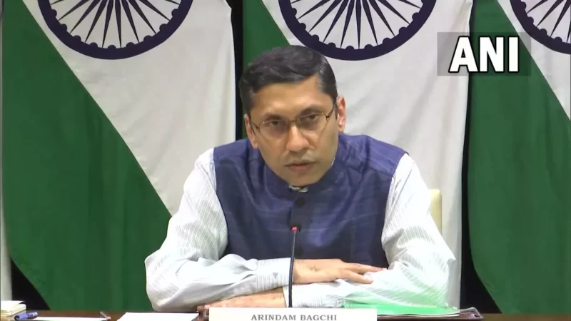 सीमा हैदर मामले पर केंद्र सरकार का क्या है रूख? विदेश मंत्रालय का आया बयान