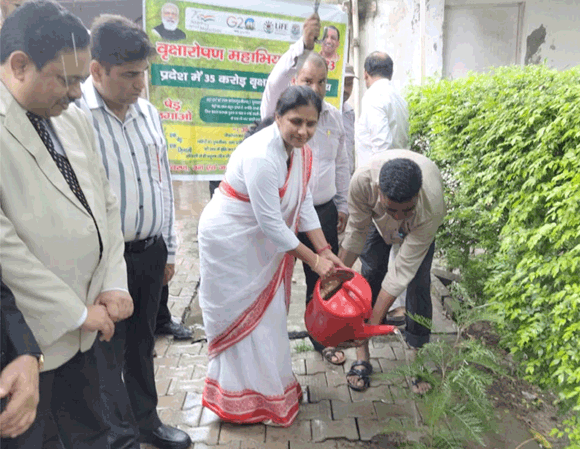 विश्व पर्यावरण दिवस पर न्यायिक अधिकारियों व जनप्रतिनिधियों ने किया पौधारोपण