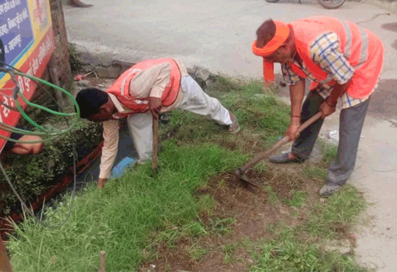 निगम ने शुरु किया दो दिवसीय विशेष घास सफाई अभियान