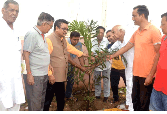 मंशापूर्ण हनुमान मंदिर परिवार ने किया वृक्षारोपण