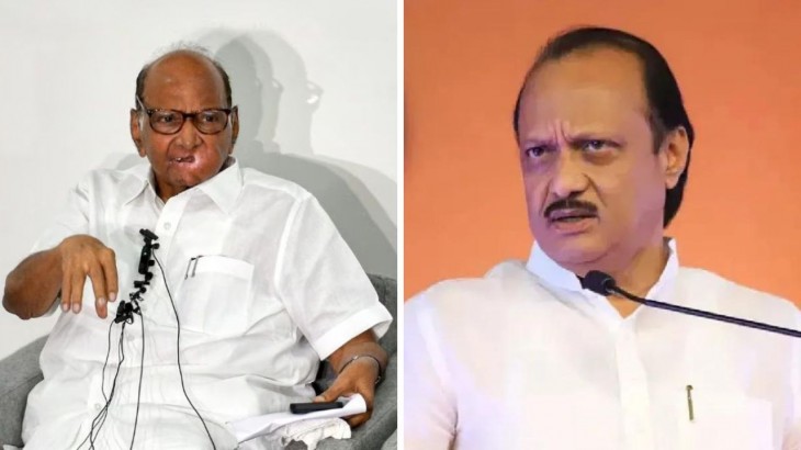 अजित पवार की NCP ‘असली राजनीतिक पार्टी’, शरद पवार गुट के पास बहुमत नहीं: महाराष्ट्र अध्यक्ष
