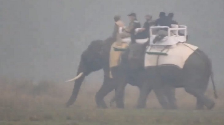 PM मोदी ने सुबह-सुबह की काजीरंगा उद्यान की सैर, हाथी की सवारी करते नजर आए प्रधानमंत्री