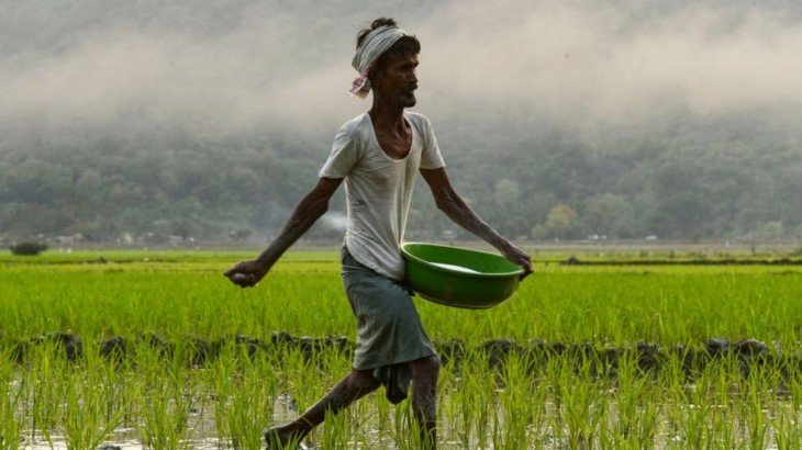 यूपी सरकार ने किसानों के लिए खोल दी तिजोरी, मुफ्त बिजली और फसलों के नुकसान पर मिलेगा मुआवजा