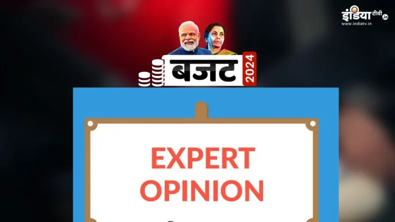 मोदी सरकार 3.0 के पहले बजट से किसको कितना मिला फायदा, इंडस्ट्री एक्सपर्ट्स से यहां समझिए