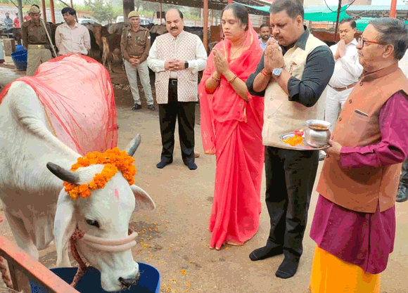 गोपाष्टमी पर नगरायुक्त ने की गौवंश की पूजा