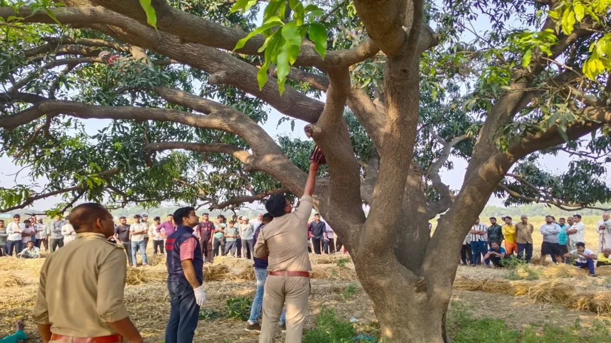 बुलंदशहर: एक और प्रेम कहानी का ‘The End’, पेड़ पर फंदा बनाकर प्रेमी के साथ झूल गई 3 बच्चों की मां