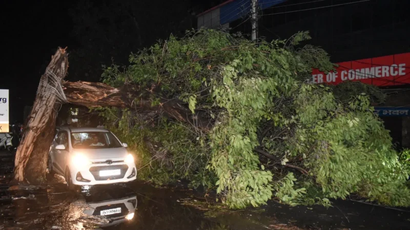 उत्तर प्रदेश में आंधी से अब तक 3 लोगों की मौत और कई घायल, CM योगी ने अधिकारियों को जारी किया निर्देश