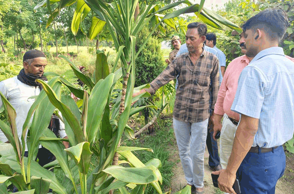 स्लोपनुमा हरियाली व फुलवारी से सजेंगे प्रमुख मार्गों के किनारे