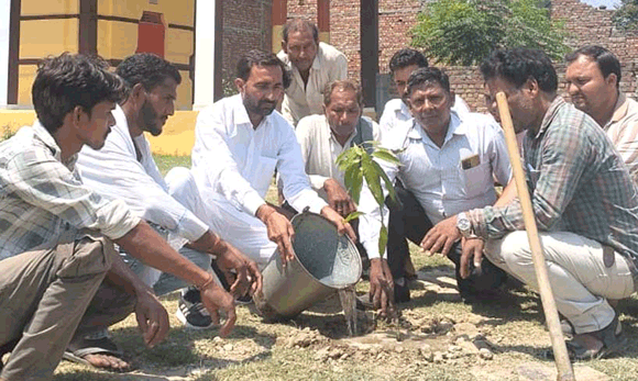 विश्व पर्यावरण दिवस के उपलक्ष में किया पौधारोपण