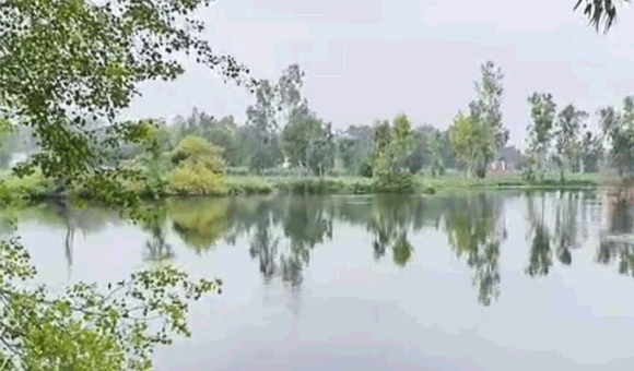 नकुड के गंदे पानी गंदे पानी से चंद्रपालखेडी मे सैकडो बिघा खेत बने तालाब, फसले तबाह
