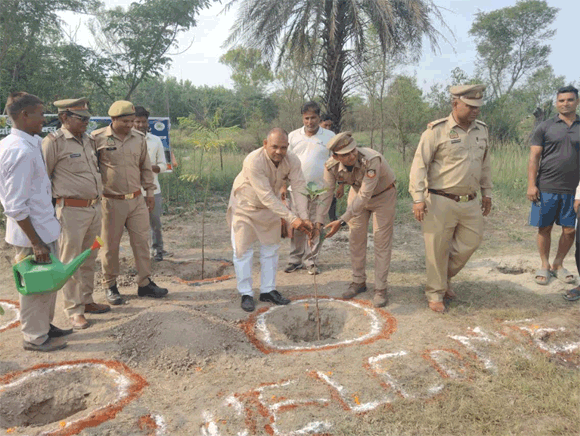 सिरसका मे शमशान घाट पर किया गया वृक्षारोपण