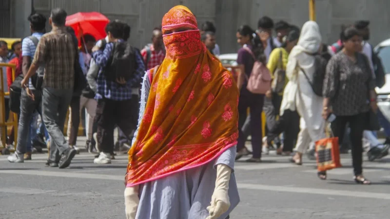 उफ! ये गर्मी तो मार ही डालेगी..दिल्ली में रियल फील टेम्प्रेचर 47.1 डिग्री तक पहुंचा, IMD ने बताया कब होगी बारिश