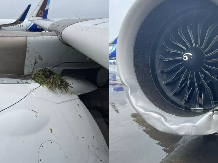 दिल्ली से सैन फ्रांसिस्को जा रही Air India फ्लाइट तकनीकी खराबी के बाद लौटी