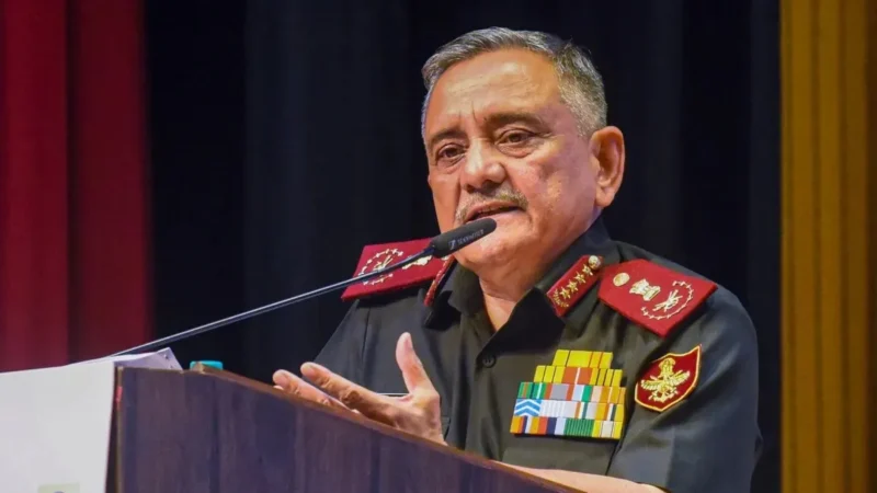 ‘भारत ने पाकिस्तान के ज्यादातर ड्रोन्स मार गिराए, कई सही हालत में बरामद हुए’, CDS चौहान का बड़ा खुलासा
