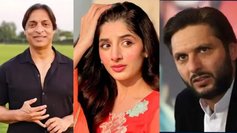 पाकिस्तानी सेलिब्रिटीज के सोशल मीडिया अकाउंट 24 घंटे के अंदर फिर से हुए बैन, सरकार का बड़ा फैसला