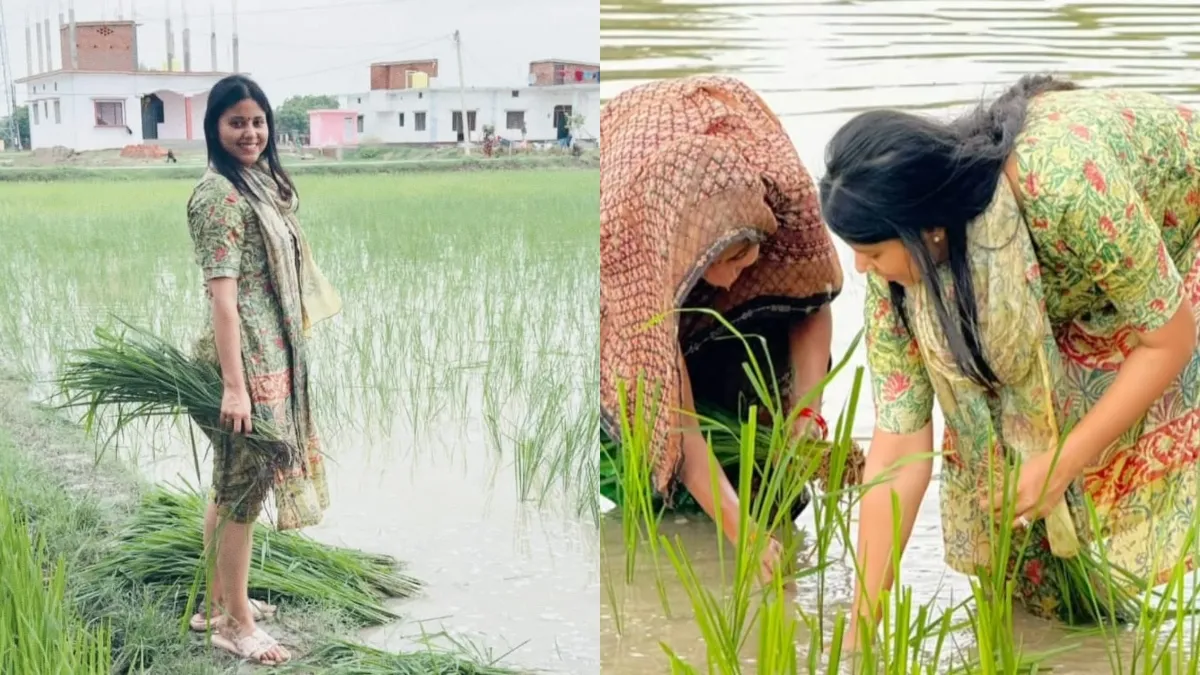 सोशल मीडिया पर छाईं सपा सांसद प्रिया सरोज, खेत में धान रोपते VIDEO हुआ वायरल