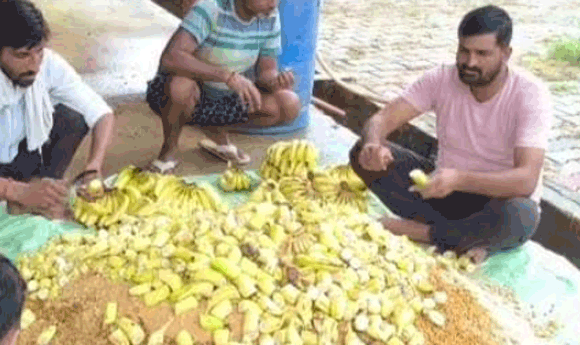 श्रावण एकादशी पर कान्हा गौशाला मे ग्रामीणो ने गायो की सेवा की