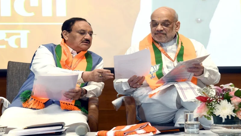 उपराष्ट्रपति चुनाव के बाद BJP को मिल सकता है नया राष्ट्रीय अध्यक्ष, 100 से ज्यादा सीनियर नेताओं से हुई चर्चा