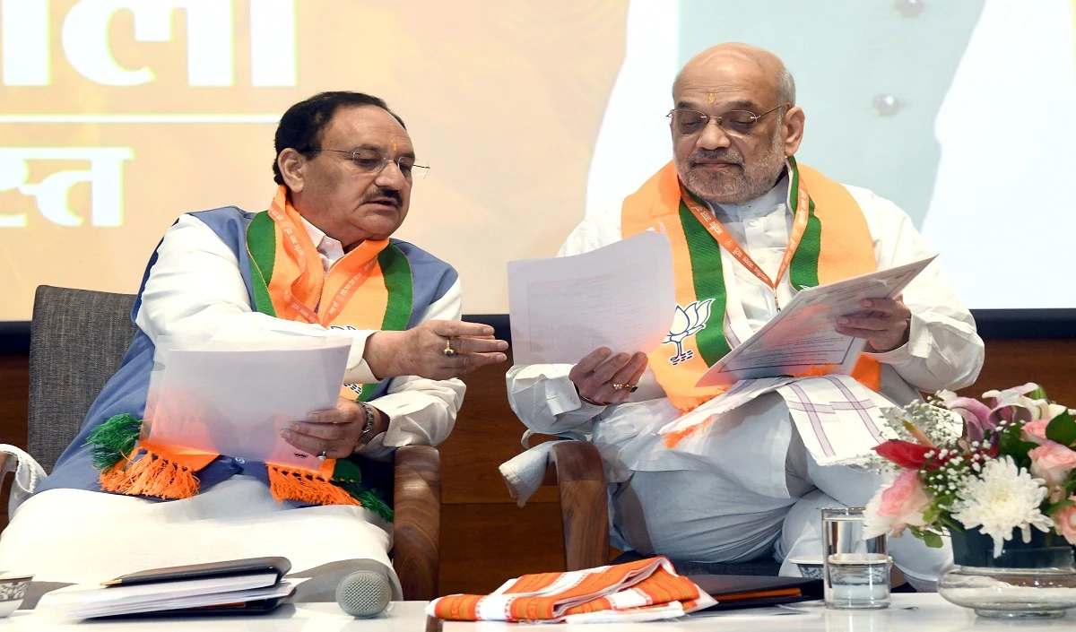 उपराष्ट्रपति चुनाव के बाद BJP को मिल सकता है नया राष्ट्रीय अध्यक्ष, 100 से ज्यादा सीनियर नेताओं से हुई चर्चा