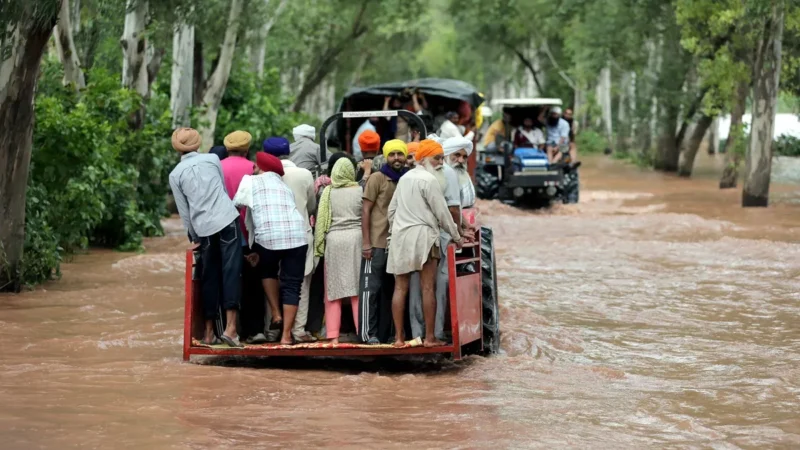पंजाब की बाढ़ में 43 लोगों की गई जान, 1.71 लाख हेक्टेयर जमीन पर उगी फसल बर्बाद, शिवराज चौहान-अरविंद केजरीवाल ने किया दौरा