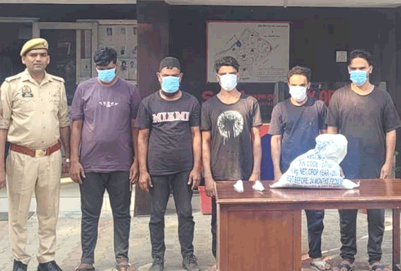 मंडी पुलिस की बड़ी कामयाबी, दबोचे पांच शातिर गौकश
