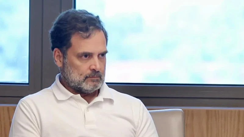 परिवारवाद पर मनीष तिवारी ने ऐसा क्या कहा? BJP ने राहुल गांधी से जोड़ दिया, कांग्रेस नेता को देनी पड़ी सफाई