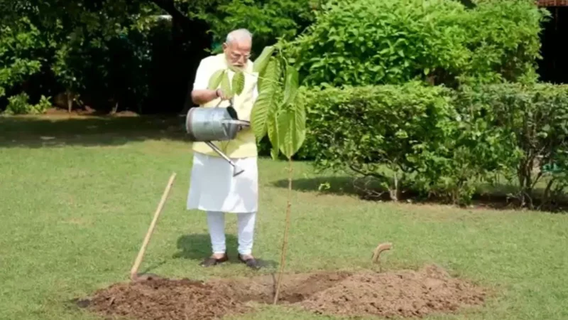 PM मोदी ने अपने आवास पर लगाया कदम्ब का पौधा, किंग चार्ल्स तृतीय ने दिया था गिफ्ट