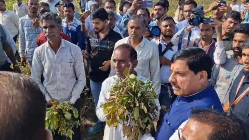 मध्य प्रदेश के सीएम मोहन यादव ने SP को लगाई फटकार, कहा- ‘नहीं संभल रही भीड़ तो छोड़ो…मैं ही संभालूं क्या’