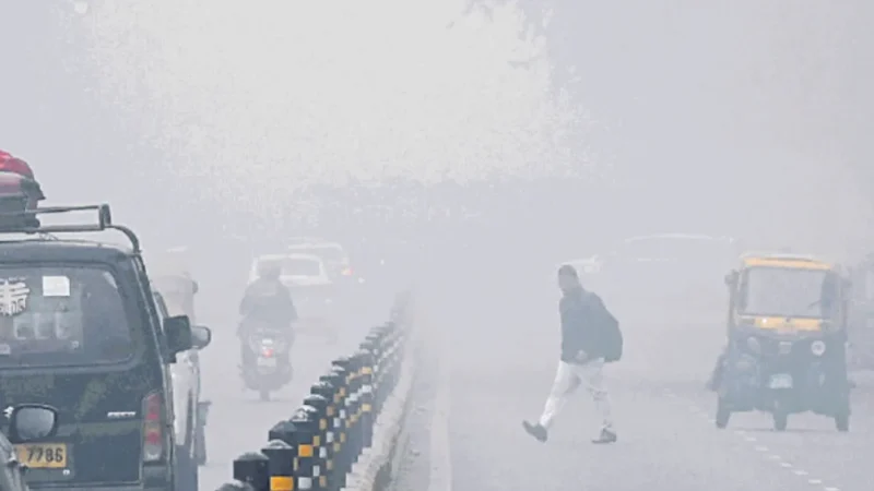 घने कोहरे की चादर में लिपटा दिल्ली-एनसीआर, मौसम विभाग ने जारी किया येलो अलर्ट; कड़ाके की ठंड का अभी भी इंंतजार