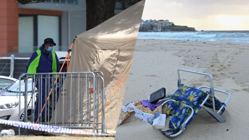 ‘हर कोई मेरे जैसा बेटा चाहेगा’, सिडनी हमले के बाद बोली आतंकी की मां; पाकिस्तानी बाप-बेटे ने ली 15 की जान